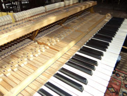Clavier piano Beichstein